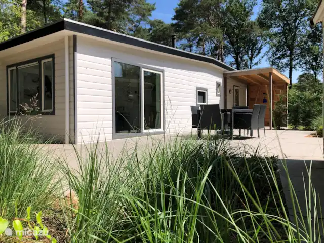 Chalet Petite Chouette | Pays-Bas, Drenthe, Diever - chalet Chalet Little Owl, avec terrasse ensoleillée