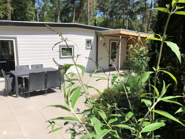 Chalet Petite Chouette | Pays-Bas, Drenthe, Diever - chalet