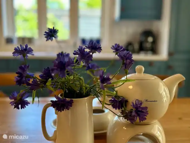 Cloche des dunes | Pays-Bas, Hollande du Nord, Limmen - maison de vacances Cuisine