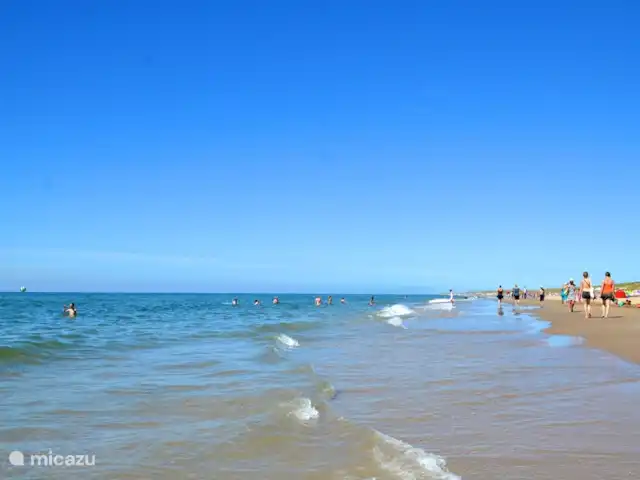 Cloche des dunes | Pays-Bas, Hollande du Nord, Limmen - maison de vacances Plage