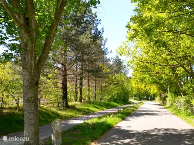Cloche des dunes | Pays-Bas, Hollande du Nord, Limmen - maison de vacances Faire du vélo dans les environs verdoyants