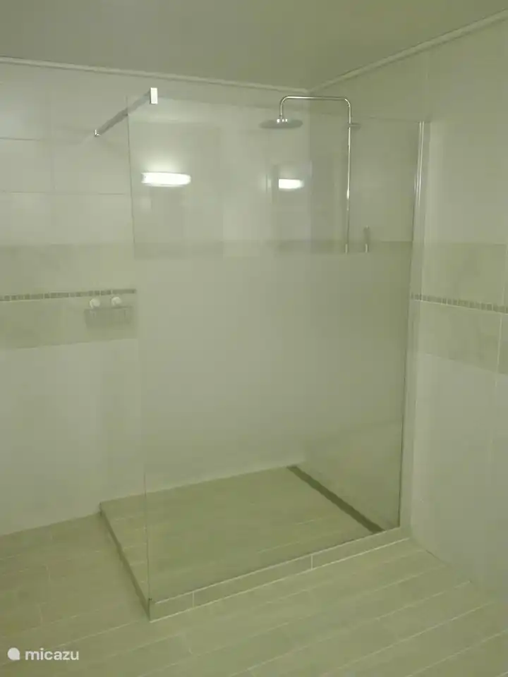 douche à l'italienne spacieuse