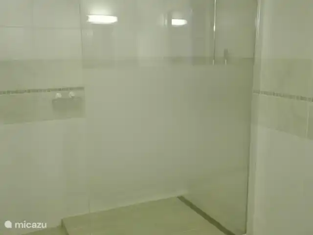 Mas de Vignal | France, Ardèche, Chambonas - villa douche à l'italienne spacieuse