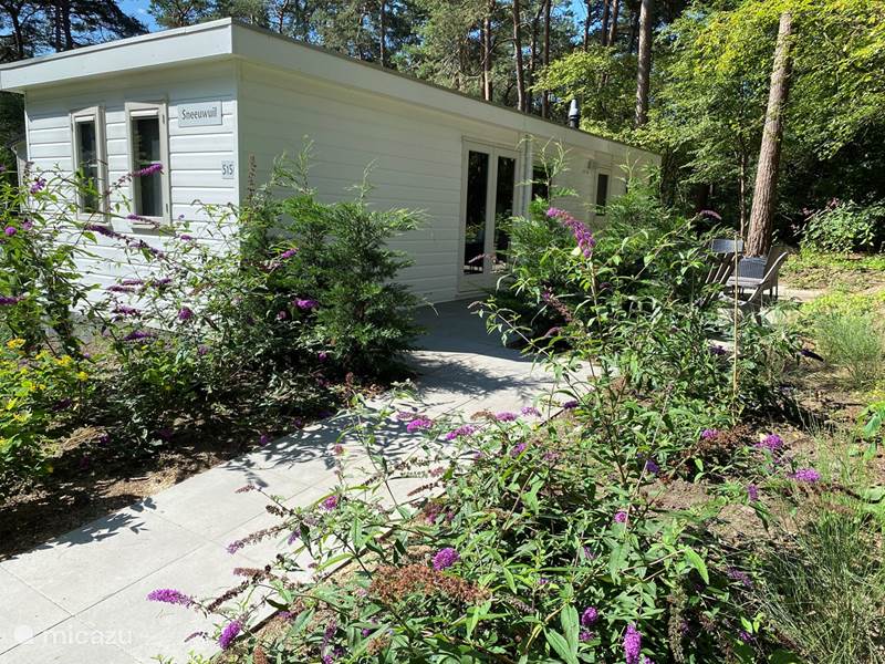 Holiday home in Netherlands, Drenthe, Diever Chalet Chalet Snowy Owl. At the edge of the forest
