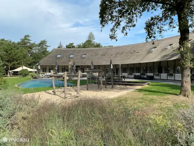 Chalet Búho Nival. En el borde del bosque en Países Bajos, Drente, Diever - chalet