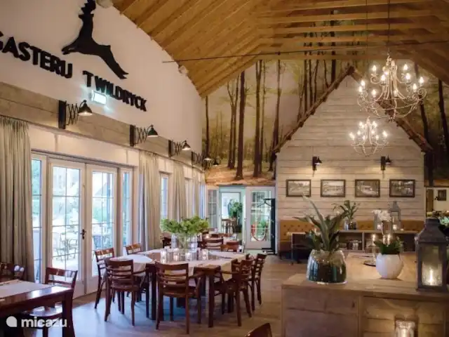 Chalet Búho Nival. En el borde del bosque en Países Bajos, Drente, Diever - chalet