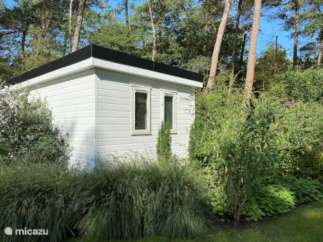Chalet Búho Nival. En el borde del bosque en Países Bajos, Drente, Diever - chalet