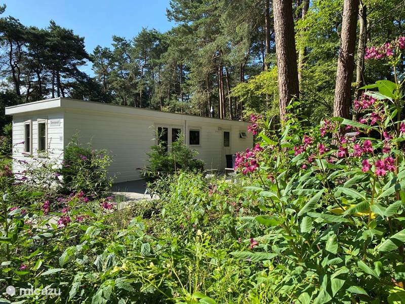Holiday home in Netherlands, Drenthe, Diever Chalet Chalet Snowy Owl. At the edge of the forest