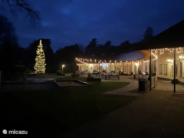 Chalet Búho Nival. En el borde del bosque en Países Bajos, Drente, Diever - chalet