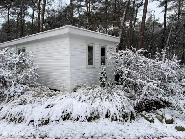 Chalet Búho Nival. En el borde del bosque en Países Bajos, Drente, Diever - chalet