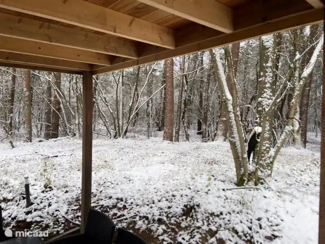 Chalet Búho Nival. En el borde del bosque en Países Bajos, Drente, Diever - chalet