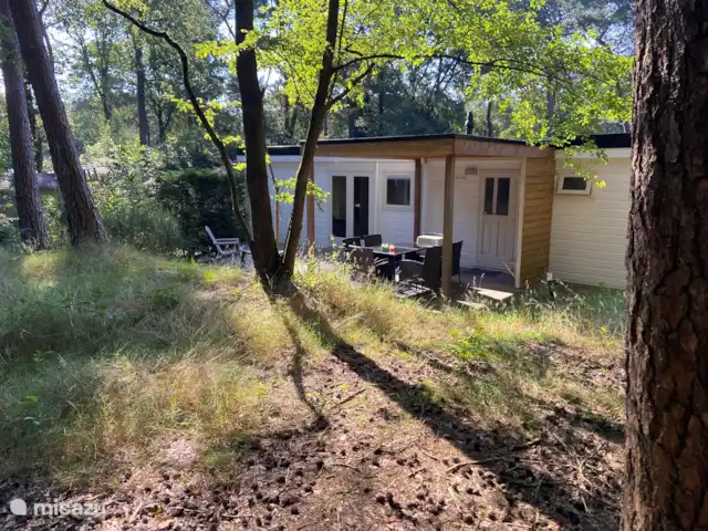Chalet Búho Nival. En el borde del bosque en Países Bajos, Drente, Diever - chalet
