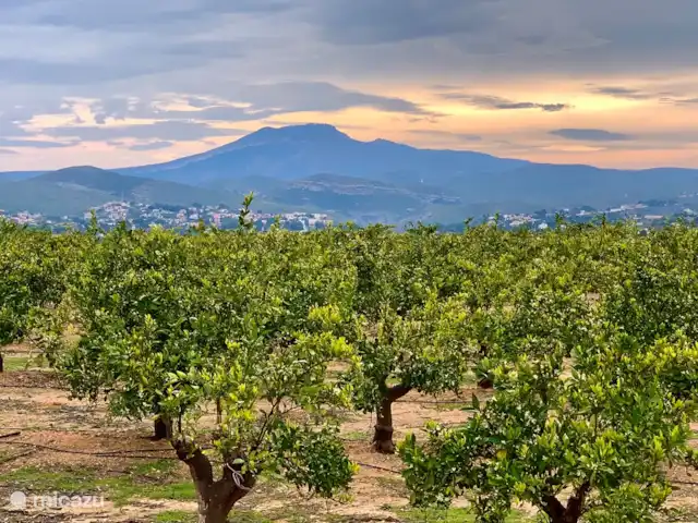 Finca Tropical - Montroy - Valence | Espagne, Valence, Montroy - villa Vues sur la vallée et les montagnes