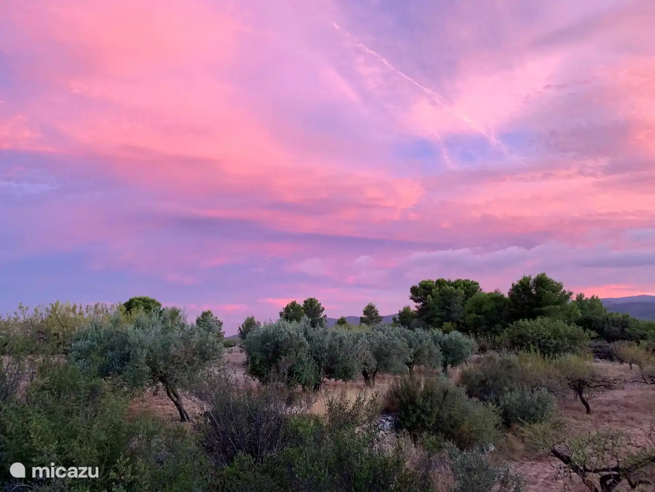 zone autour de la maison, idéale pour la marche, champs d'orangers, oliveraies