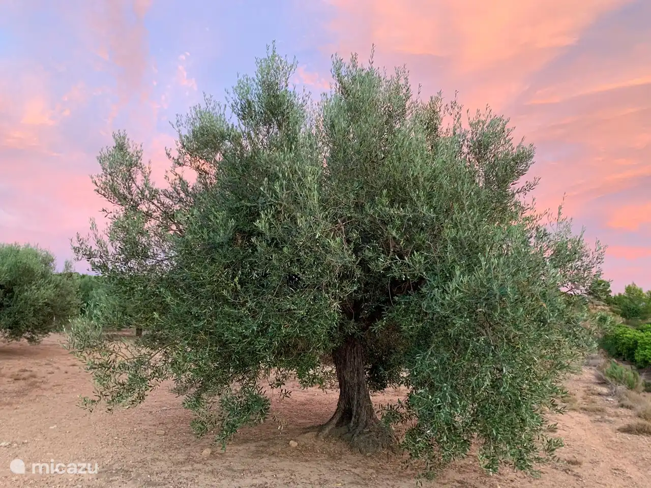 la maison est entourée par la nature, idéale pour les randonnées à pied et à vélo..oliveraies, champs d'orangers et larges vues sur les vallées et les montagnes