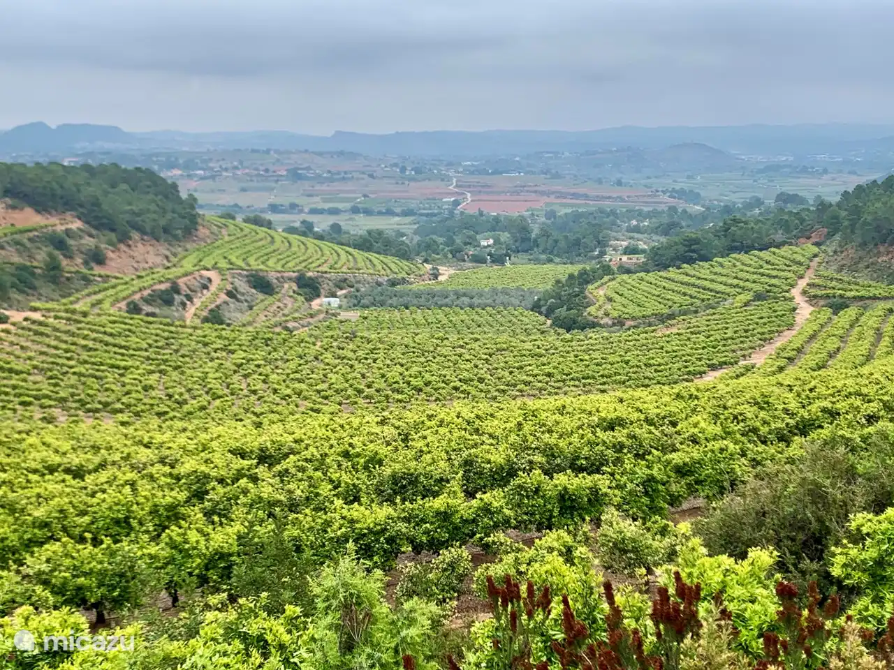 le paysage, les vallons autour de la villa invitent à la randonnée !
