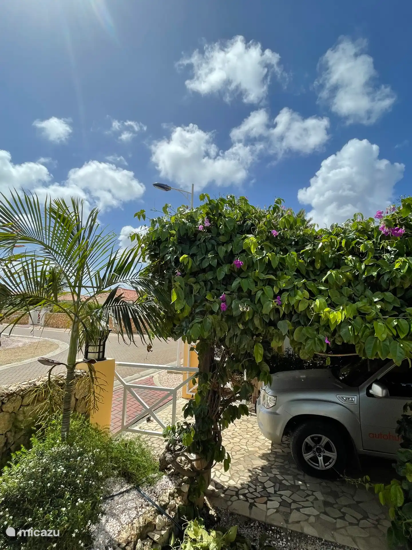 De carport met mooie klimplant met bloemen die het hele jaar bloeit.