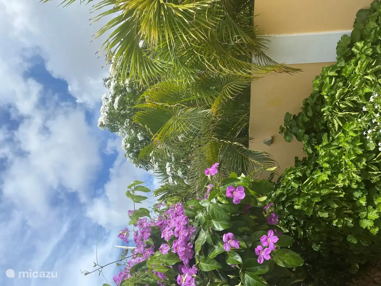 Mooie begroeiing bij de carport en in de tuin