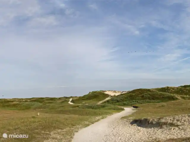 vida en la playa 1 en Países Bajos, Holanda del Norte, Callantsoog - casa vacacional ambiente