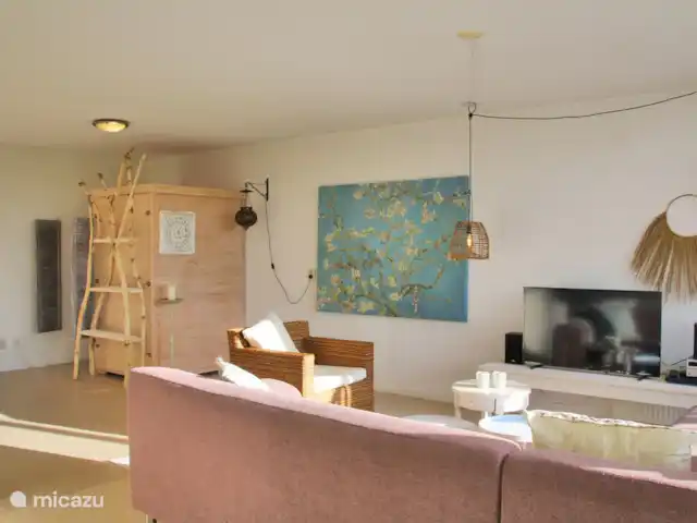 Beachlife 2 huren in Nederland, Noord-Holland, Callantsoog - vakantiehuis links achter staat de infra rood sauna