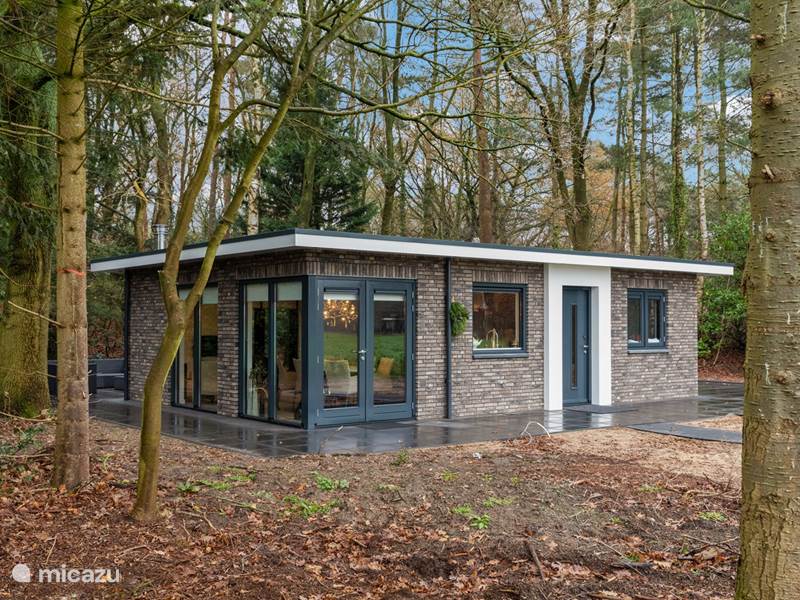 Maison de Vacances Pays-Bas, Overijssel, Ommen Bungalow Repos en forêt