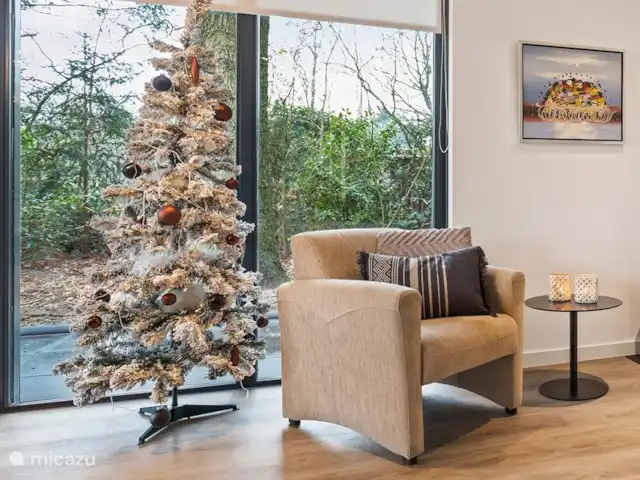 Bosrust huren in Nederland, Overijssel, Ommen - bungalow Sfeervol met Kerst