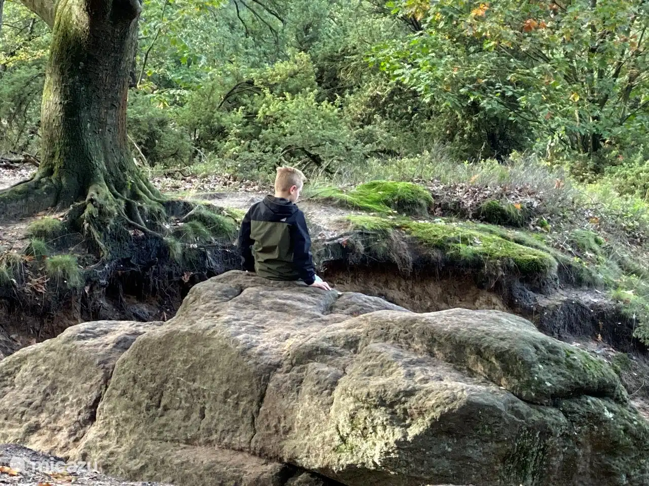 Auf dem Lemelerberg zum dicken Stein gehen