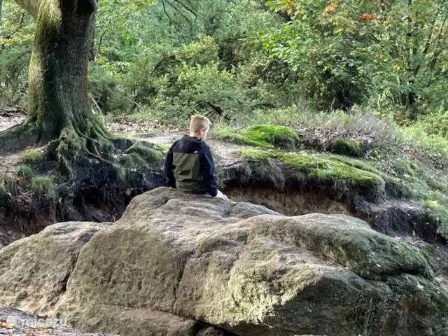 Bosrust huren in Nederland, Overijssel, Ommen - bungalow Wandelen op de Lemelerberg naar de dikke steen