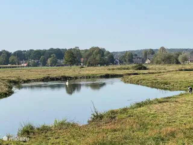 Bosrust huren in Nederland, Overijssel, Ommen - bungalow Zij-arm van de Vecht, de Regge