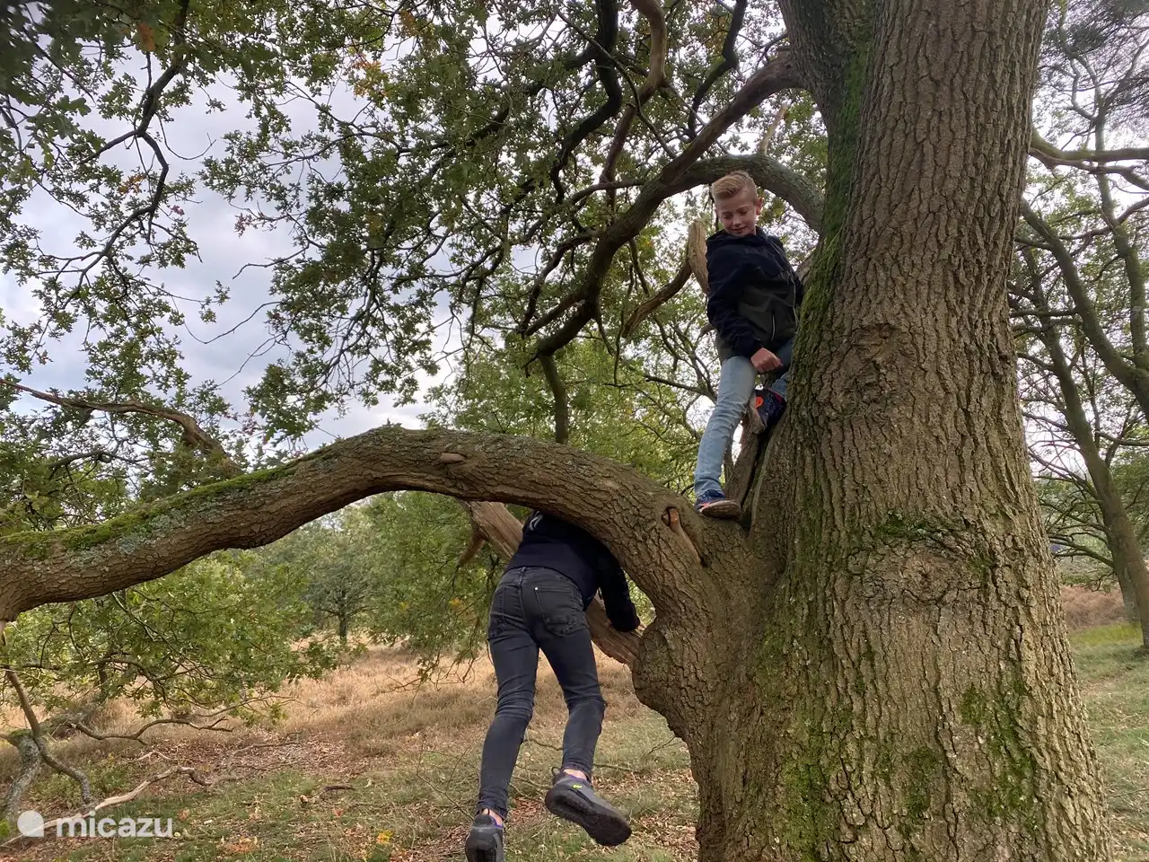 Netter Kletterer und Klettern