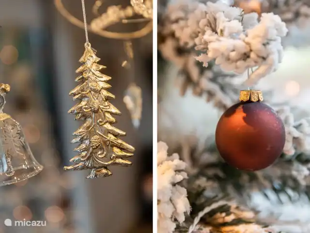 Bosrust huren in Nederland, Overijssel, Ommen - bungalow Kerstsfeer