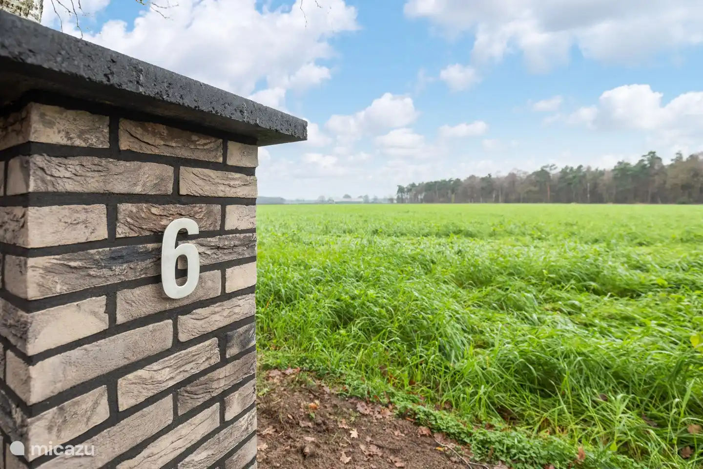 Blick über die Wiesen