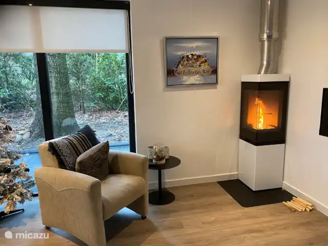Bosrust huren in Nederland, Overijssel, Ommen - bungalow Gezellig haardvuur