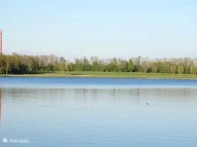 Vista despejada de la playa y del agua para nadar  en Países Bajos, Güeldres, Ewijk - casa vacacional