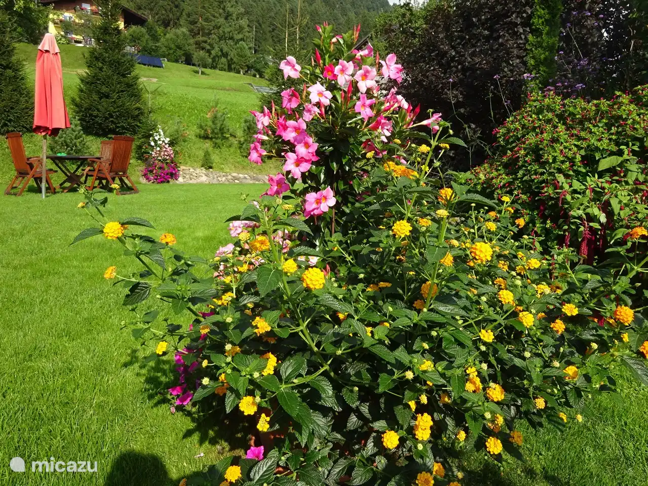 Schöner parkähnlicher Blumengarten