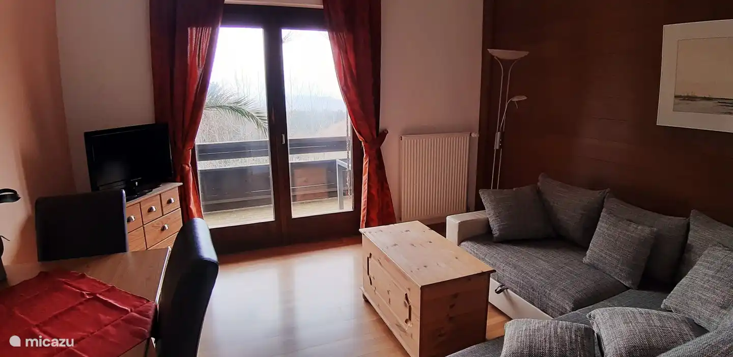 Wohnzimmer mit Schlafsofa und SAT-TV