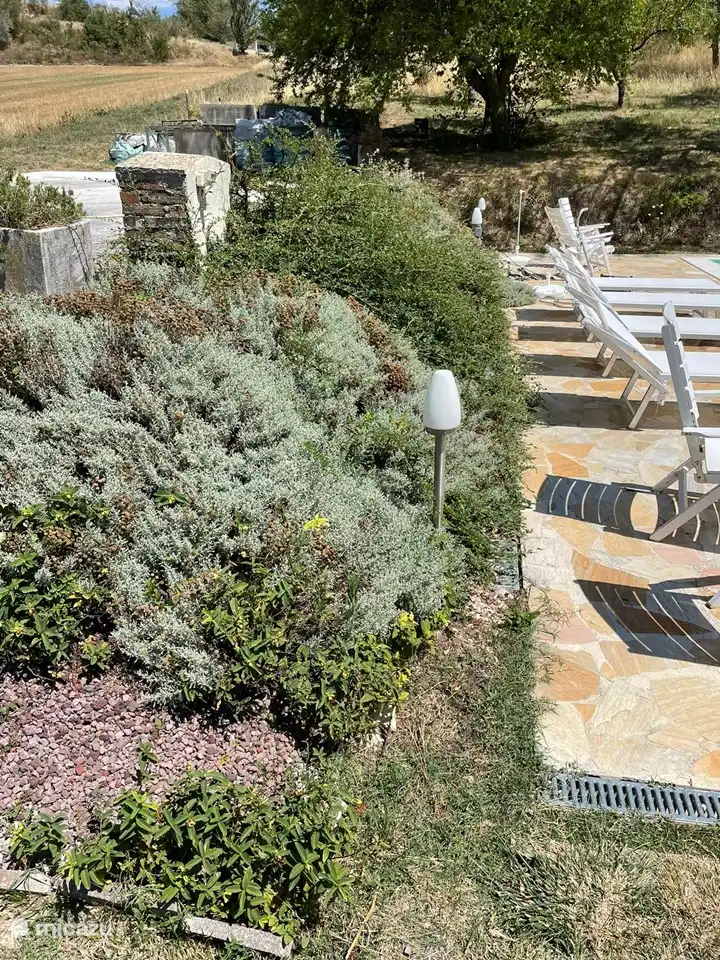 Inheemse planten rondom het zwembad