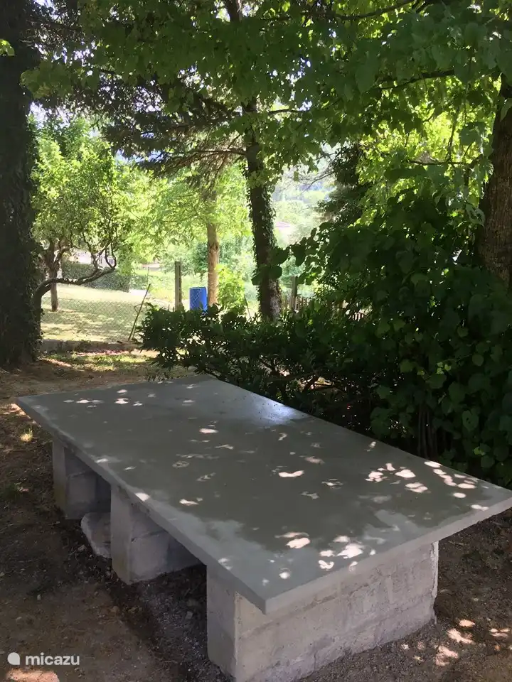 Pingpongtafel