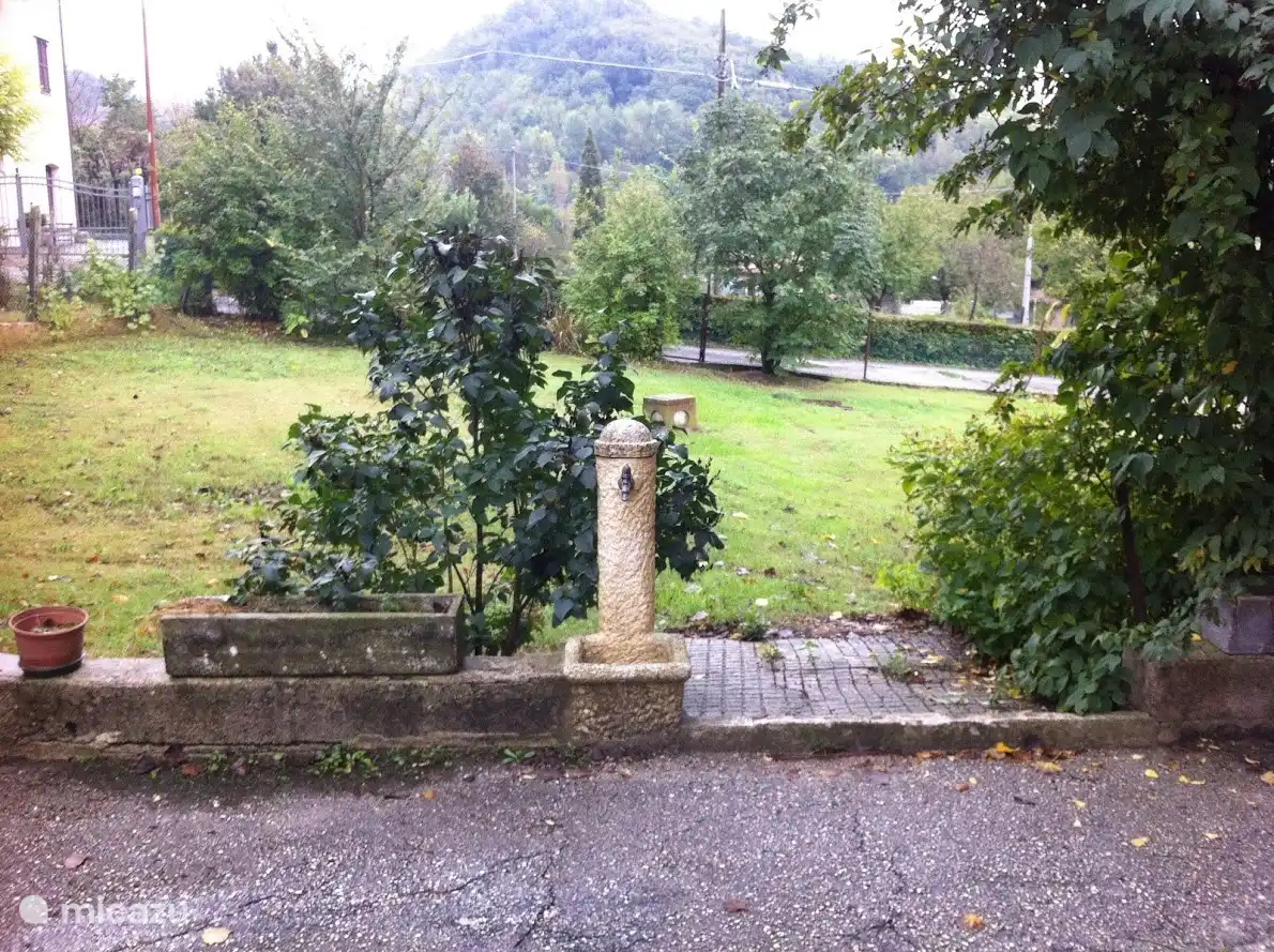 Zijtuin