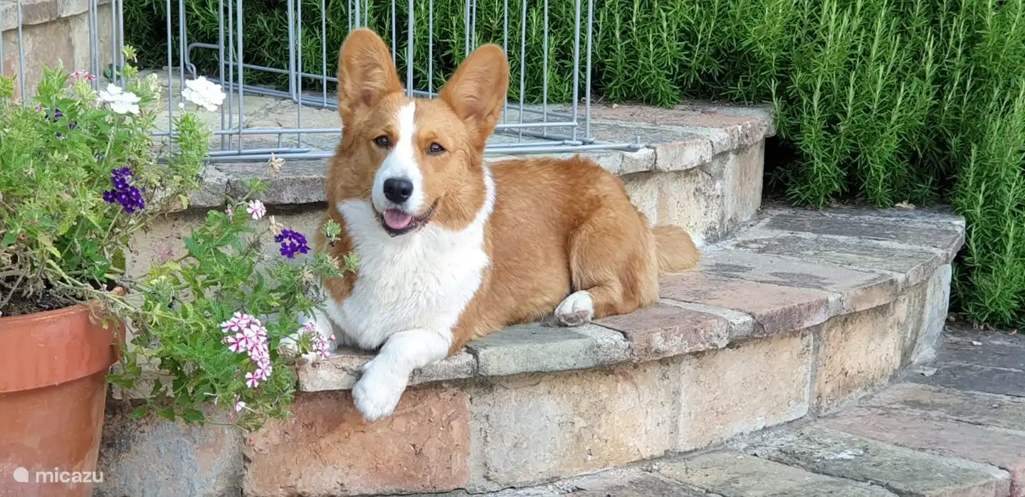Er is altijd een plekje in de zon of in de schaduw te vinden op het terras.