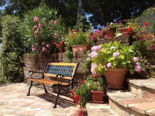 Wij vragen onze gasten de plantjes water te geven als het lang droog is.