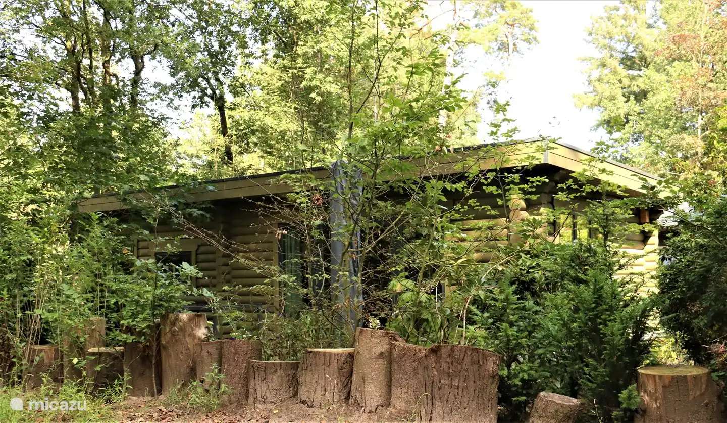 Chalet im Bungalowpark Toverberg in Niederlande, Gelderland, Ermelo - chalet