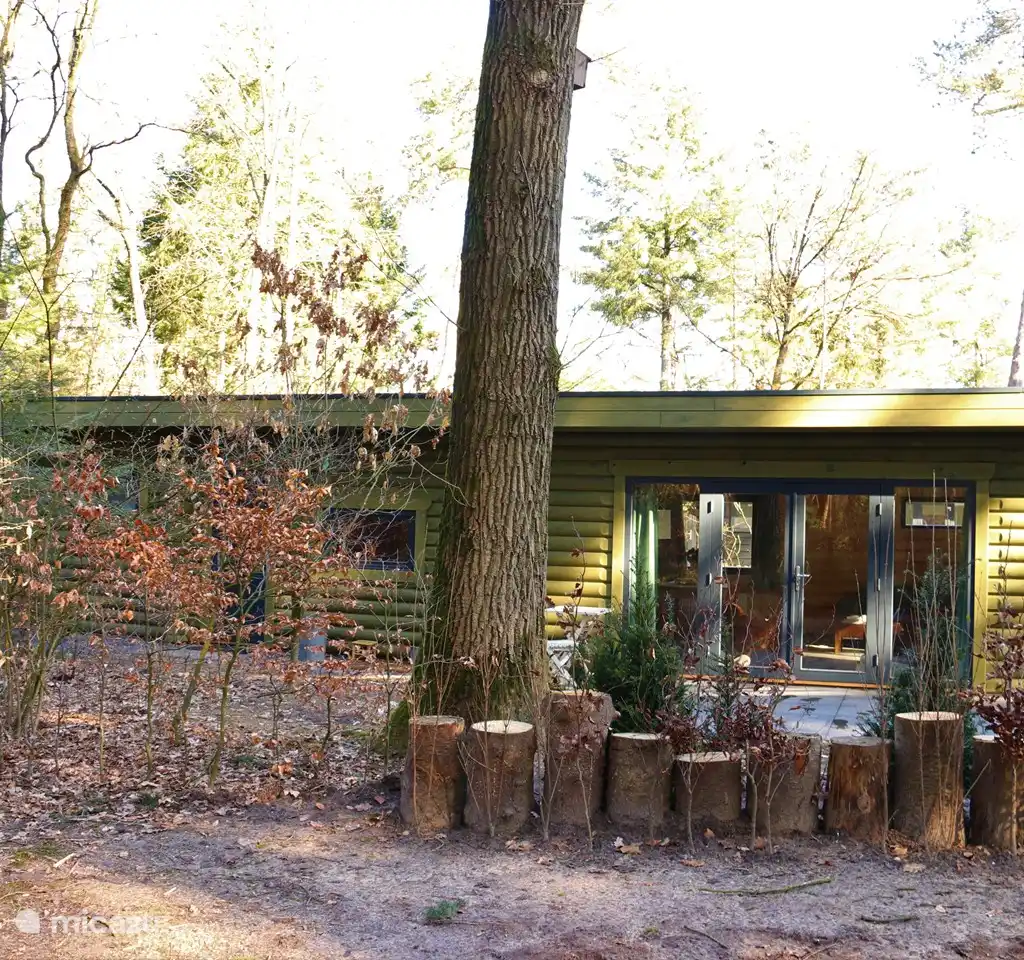Chalet op bungalowpark de Toverberg