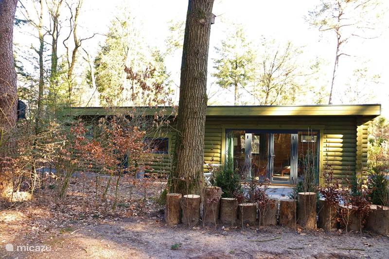 Vakantiehuis Nederland, Gelderland, Ermelo Chalet Chalet op bungalowpark de Toverberg