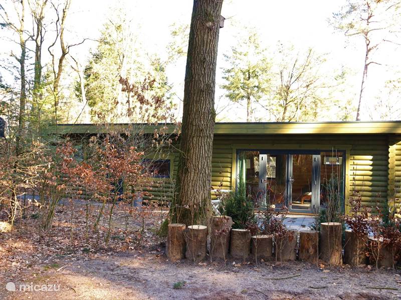 Maison de Vacances Pays-Bas, Gueldre, Ermelo Chalet Chalet sur le parc de bungalows du Toverberg
