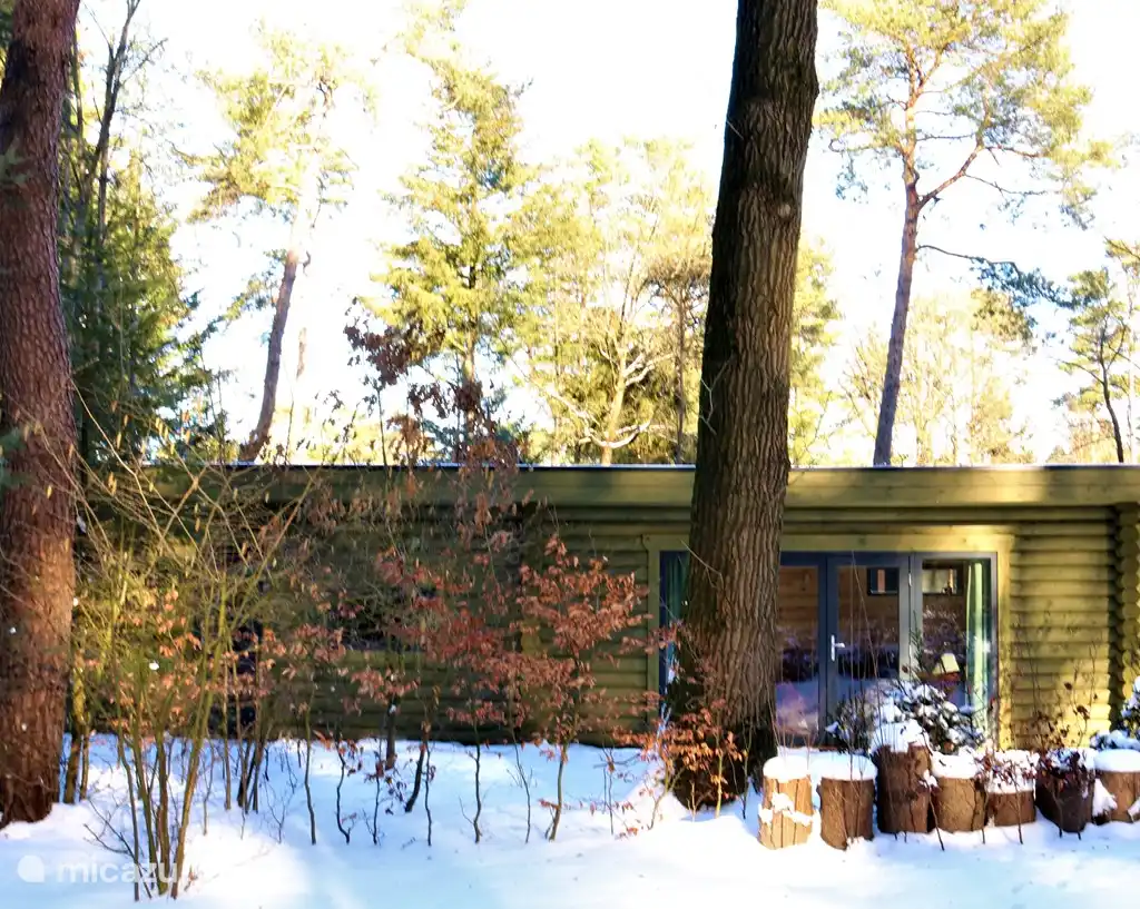 Chalet op bungalowpark de Toverberg
