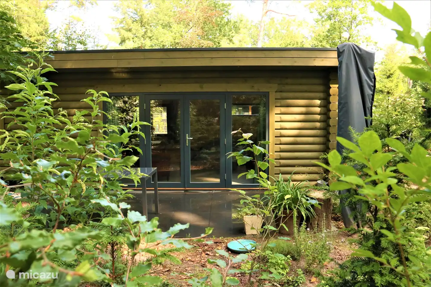 Gedeeltelijk vooraanzicht van de Boomklever