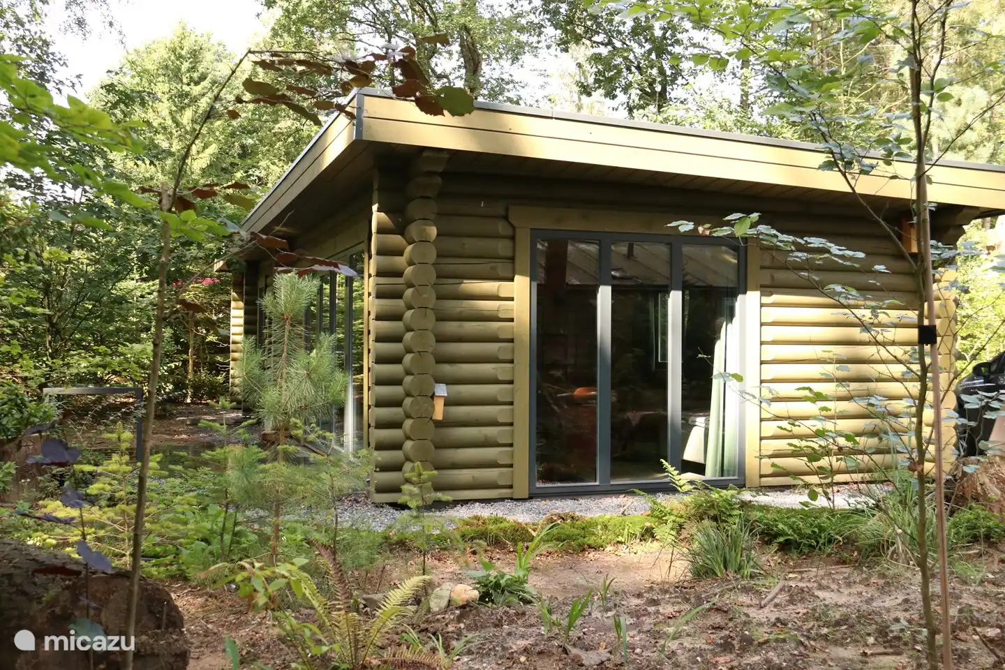 Seitenansicht des Kleibers