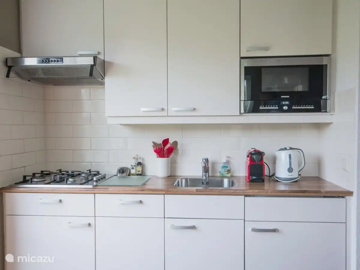 Cuisine avec micro-ondes, réfrigérateur-congélateur, lave-vaisselle et four séparé