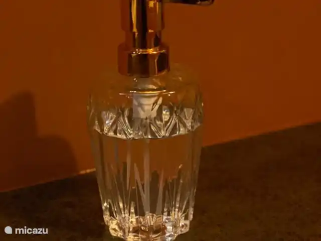 Vakantiehuis 'Rood Koper' Veluwe! huren in Nederland, Gelderland, Putten - bungalow